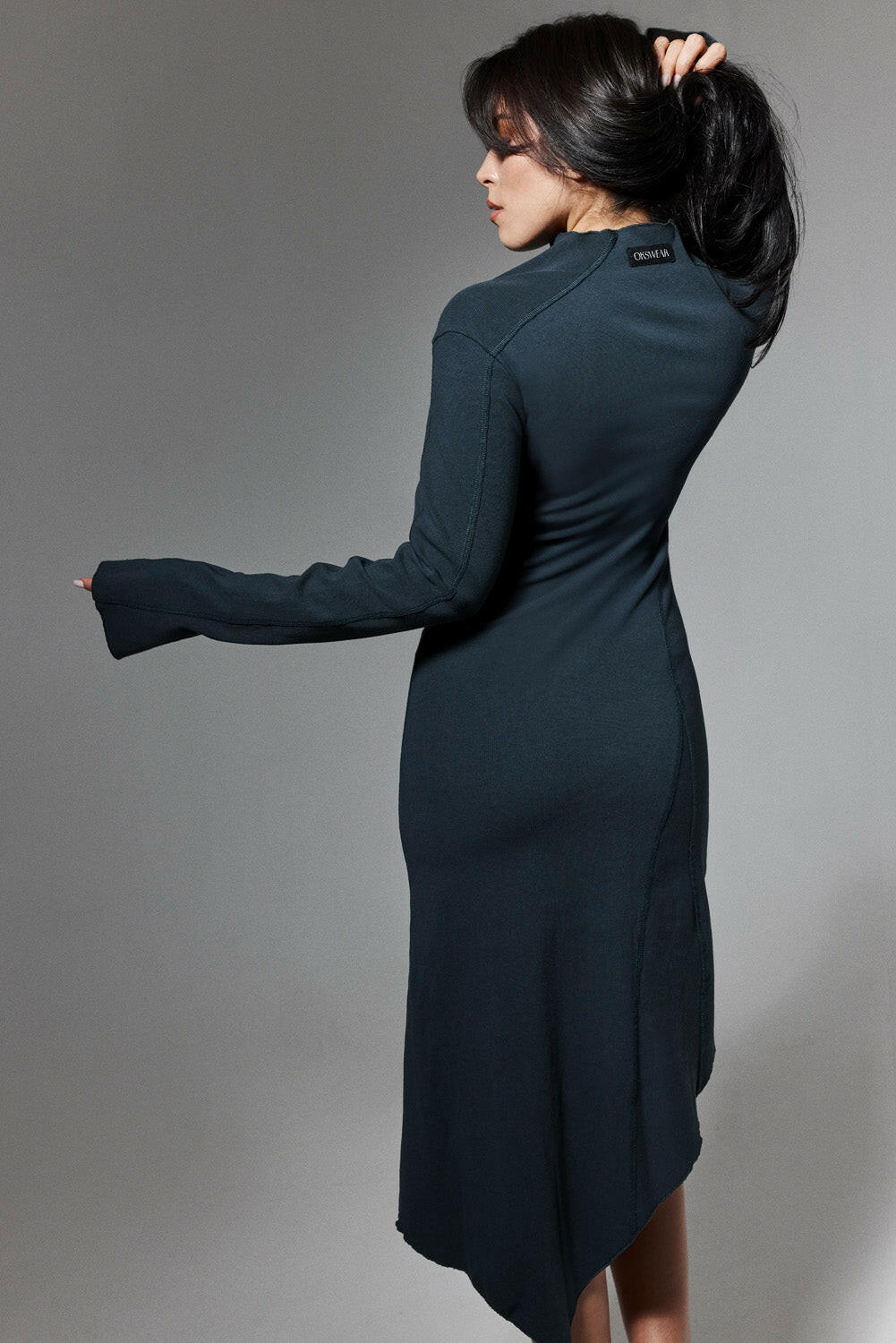 Ameri Lake Curve Black Sheer Long Sleeve Ribbed Tricot Dress