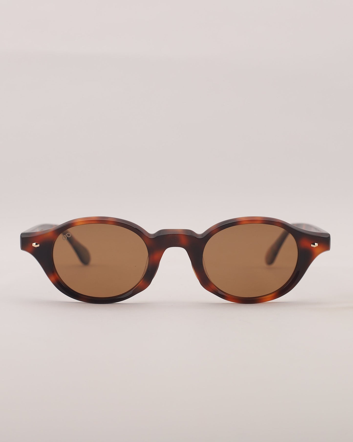 Biarritz C2 Polarized Sunglasses